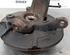 Stub Axle LAND ROVER FREELANDER 2 (L359)