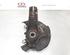 Stub Axle NISSAN X-TRAIL (T32_)