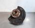 Stub Axle RENAULT ESPACE V (JR_)