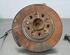 Stub Axle FIAT 500X (334_), FIAT QUBO (225_)