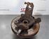 Stub Axle FORD TRANSIT V363 Bus (FAD, FBD)