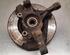 Stub Axle FIAT FIORINO Box Body/MPV (225_), FIAT QUBO (225_), FIAT FIORINO MPV (225_)