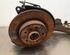 Stub Axle RENAULT KADJAR (HA_, HL_), NISSAN QASHQAI II SUV (J11, J11_)