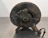 Stub Axle RENAULT CLIO V (B7_)