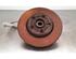 Stub Axle RENAULT KANGOO Express (FW0/1_), RENAULT KANGOO / GRAND KANGOO (KW0/1_)