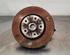 Stub Axle NISSAN QASHQAI III (J12)