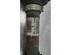 Drive Shaft FORD RANGER (TKE)