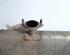 End Silencer KIA SPORTAGE (QL, QLE)