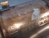 Catalytic Converter JEEP COMPASS (MP, M6)