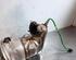 Catalytic Converter DACIA DUSTER (HM_), NISSAN MICRA V (K14), RENAULT CLIO V (B7_)