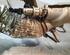 Catalytic Converter VOLVO V60 II (225)