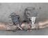 Catalytic Converter VW TIGUAN (AD1, AX1), VW TIGUAN ALLSPACE (BW2)