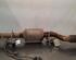 Catalytic Converter FIAT DUCATO Van (250_, 290_)