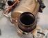 Catalytic Converter RENAULT CLIO V (B7_)