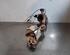 Catalytic Converter RENAULT CLIO V (B7_)