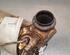 Catalytic Converter RENAULT CLIO V (B7_)