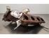 Catalytic Converter RENAULT CLIO V (B7_)