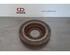 Brake Disc MITSUBISHI L200 / TRITON (KJ_, KK_, KL_)