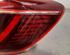 Combination Rearlight RENAULT CLIO V (B7_)