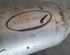 Diesel Particulate Filter (DPF) MAZDA 2 (DL, DJ)