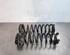 Coil Spring BMW 1 (F20)