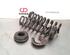 Coil Spring BMW 1 (F20)