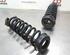 Coil Spring BMW 3 (F30, F80)