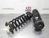 Coil Spring BMW 3 (F30, F80)