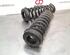 Coil Spring BMW 4 Coupe (F32, F82)