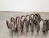 Coil Spring VW TIGUAN (AD1, AX1), VW TIGUAN ALLSPACE (BW2)