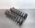 Coil Spring BMW 1 (F20)