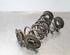 Coil Spring VW GOLF VII (5G1, BQ1, BE1, BE2), VW GOLF VIII Variant (CG5), VW GOLF VII Variant (BA5, BV5)