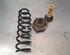 Coil Spring RENAULT MEGANE IV Grandtour (K9A/M/N_)