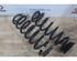 Coil Spring VW TIGUAN (AD1, AX1), VW TIGUAN ALLSPACE (BW2), VW TOUAREG (CR7)