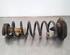 Coil Spring RENAULT MEGANE IV Grandtour (K9A/M/N_)