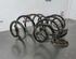 Coil Spring FIAT DOBLO Cargo (263_), FIAT DOBLO Platform/Chassis (263_)