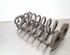 Coil Spring VW TIGUAN (AD1, AX1), VW TIGUAN ALLSPACE (BW2), SKODA KODIAQ (NS7, NV7, NS6)