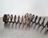 Coil Spring VW TIGUAN (AD1, AX1), VW TIGUAN ALLSPACE (BW2), SKODA KODIAQ (NS7, NV7, NS6)