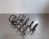 Coil Spring NISSAN 350 Z Coupe (Z33), NISSAN 350Z Roadster (Z33)