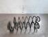 Coil Spring AUDI A3 Sportback (8VA, 8VF), AUDI A6 Allroad (4GH, 4GJ, C7)