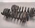 Coil Spring BMW 4 Coupe (F32, F82)