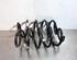 Coil Spring FORD TRANSIT CONNECT V408 Box Body/MPV