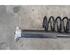 Shock Absorber VOLVO V40 Hatchback (525, 526), VOLVO V40 Cross Country (526)