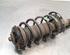 Shock Absorber CITROËN DS3, DS DS 3 (SA_)