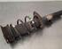 Shock Absorber VW POLO (AW1, BZ1), SEAT IBIZA V (KJ1, KJG)