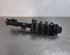 Shock Absorber FIAT TIPO Estate (356_), FIAT TIPO Hatchback (356_)