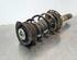 Shock Absorber VW PASSAT B8 Variant (3G5, CB5), VW PASSAT (3G2, CB2)