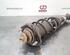 Shock Absorber MAZDA MX-5 IV (ND), MAZDA MX-5 RF Targa (ND)