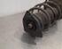 Shock Absorber OPEL CORSA F (P2JO)