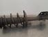 Shock Absorber OPEL CORSA F (P2JO)